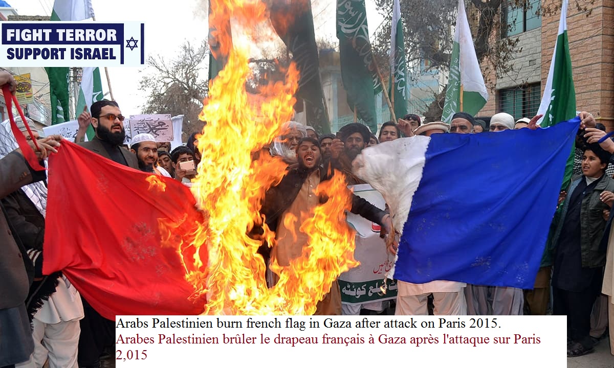 Arabs Palestinien burn french flag in Gaza after attack on Paris 2015